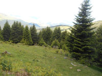 Randonnes et ski de randonnes en montagne dans les Pyrnes