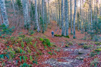 Randonn�es et ski de randonn�es en montagne dans les Pyr�n�es