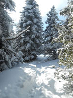 Randonn�es et ski de randonn�es en montagne dans les Pyr�n�es