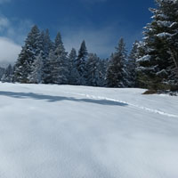 Randonn�es et ski de randonn�es en montagne dans les Pyr�n�es