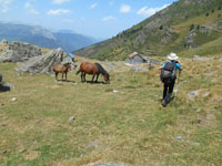 Randonn�es et ski de randonn�es en montagne dans les Pyr�n�es
