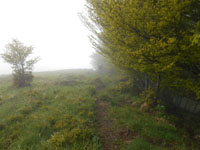 Randonn�es et ski de randonn�es en montagne dans les Pyr�n�es