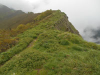 Randonn�es et ski de randonn�es en montagne dans les Pyr�n�es