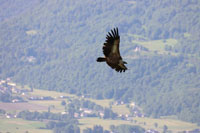 Randonn�es et ski de randonn�es en montagne dans les Pyr�n�es