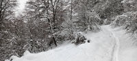 Randonnes et ski de randonnes en montagne dans les Pyrnes