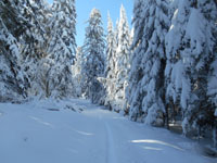 Randonnes et ski de randonnes en montagne dans les Pyrnes