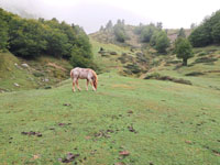 Randonn�es et ski de randonn�es en montagne dans les Pyr�n�es