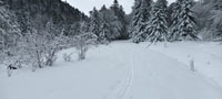 Randonnes et ski de randonnes en montagne dans les Pyrnes