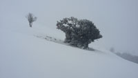 Randonnes et ski de randonnes en montagne dans les Pyrnes