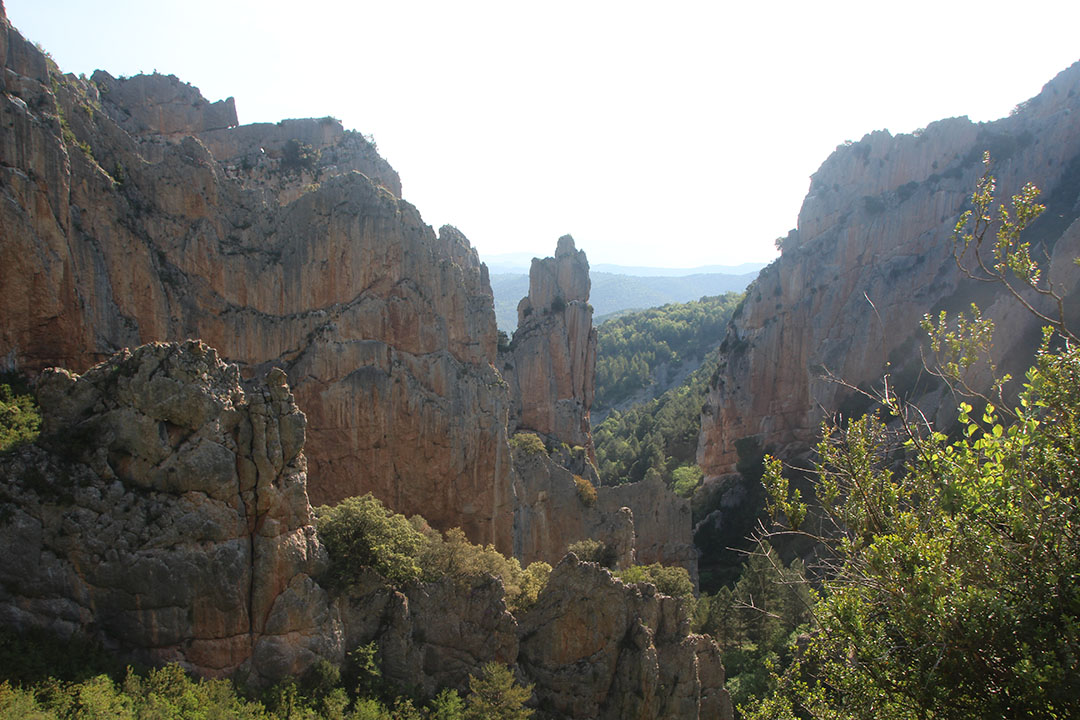 Photo de Christian Ferrère