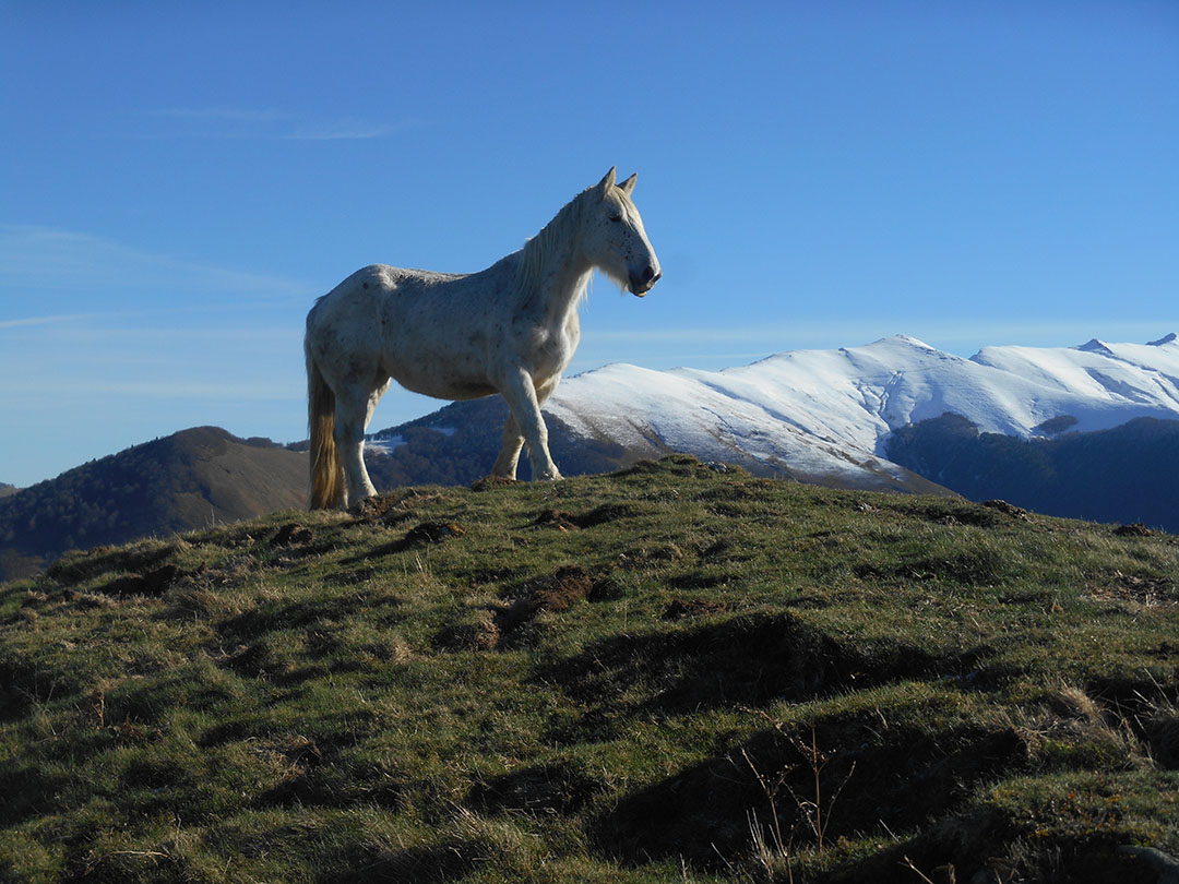 Photo de Christian Ferrère