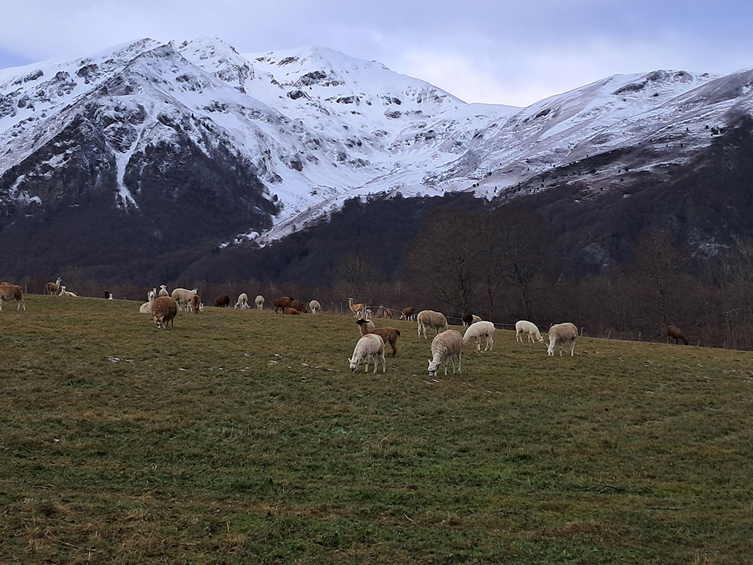 Photo de Christian Ferrère