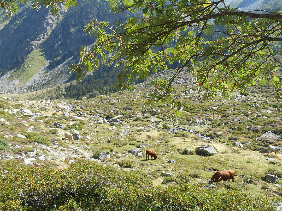 Photo de Christian Ferrère