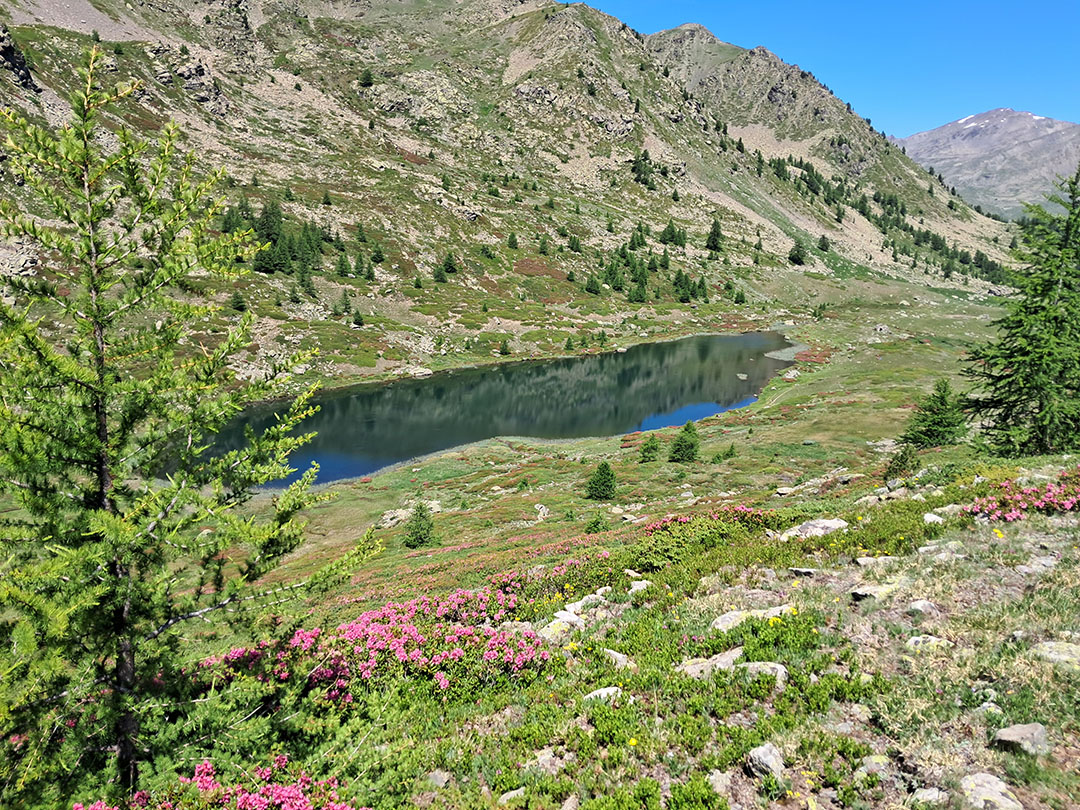 Photo de Christian Ferrère