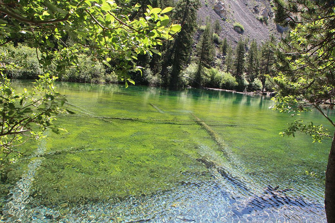Photo de Christian Ferrère