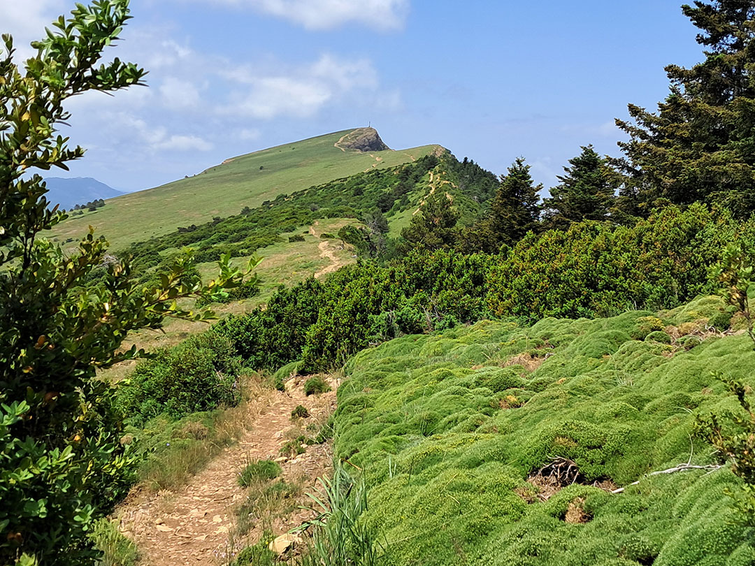Photo de Christian Ferrère