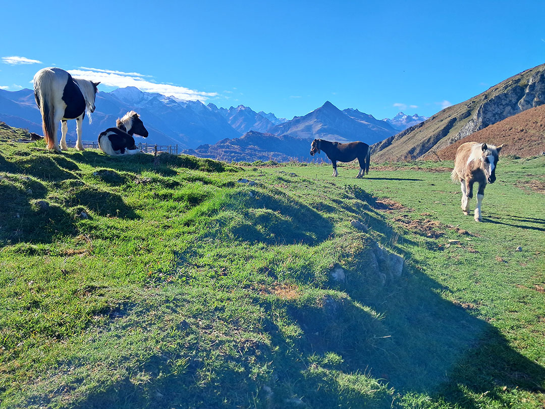 Photo de Christian Ferrère