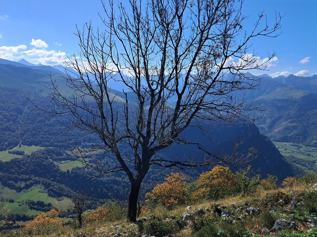 Photo de Christian Ferrère