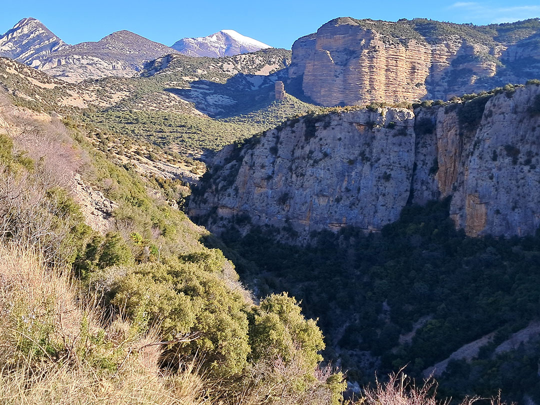 Photo de Christian Ferrère