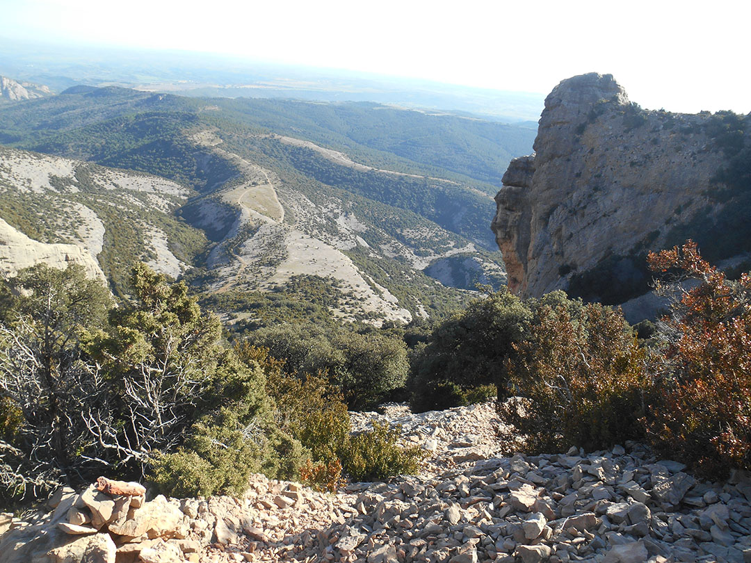 Photo de Christian Ferrère