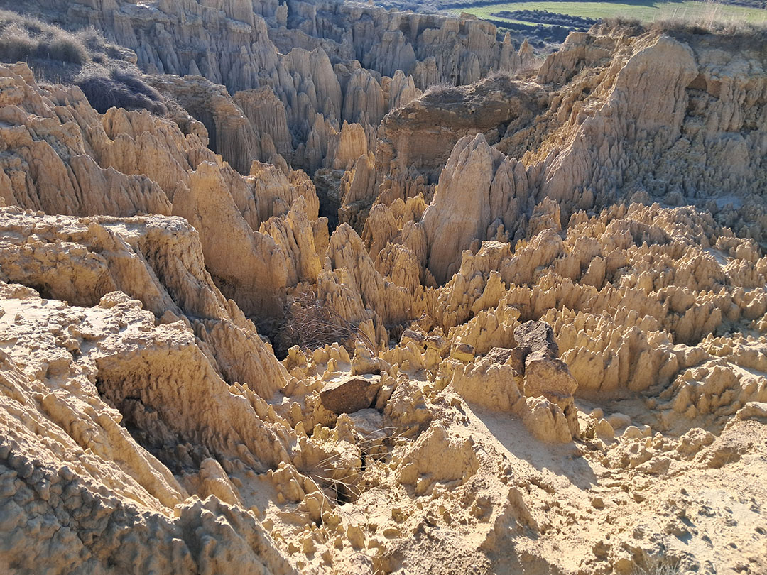 Photo de Christian Ferrère