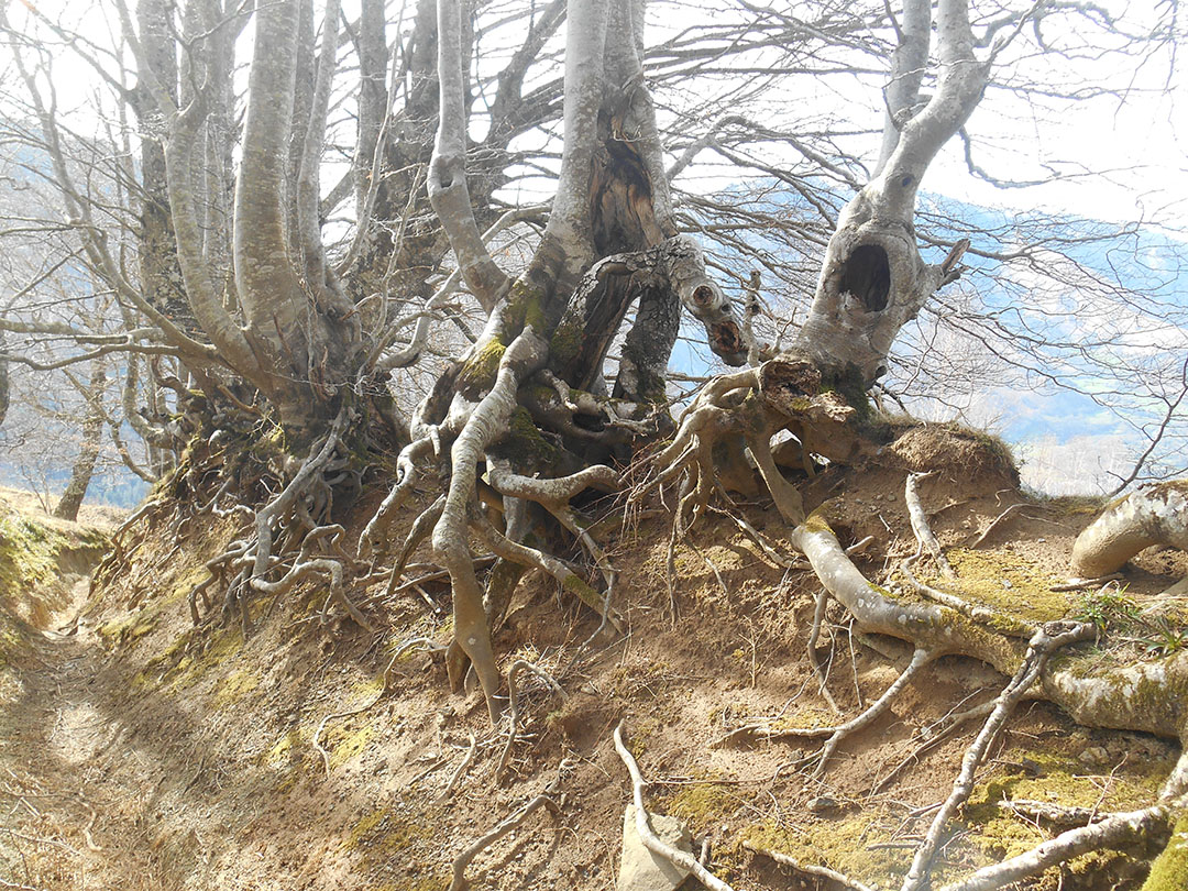 Photo de Christian Ferrère Photo de Christian Ferrère