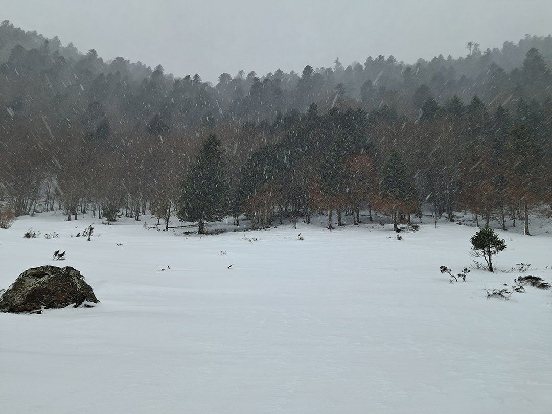 Photo de Christian Ferrère