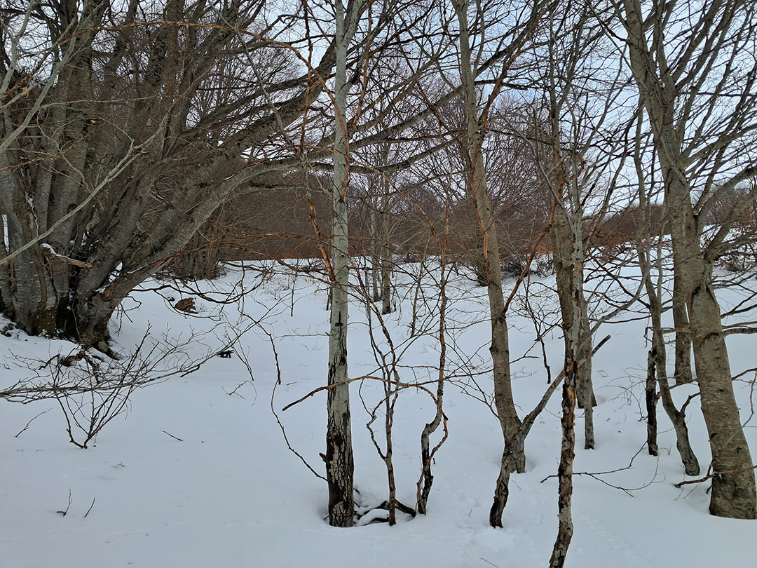 Photo de Christian Ferrère