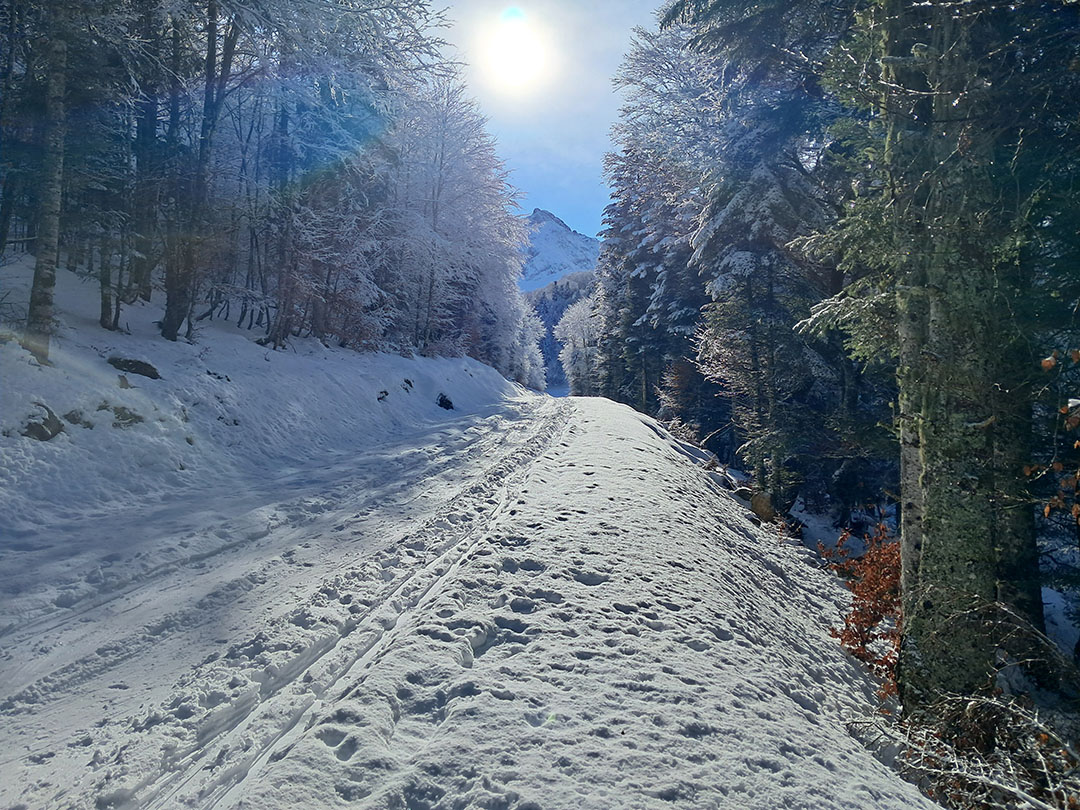 Photo de Christian Ferrère Photo de Christian Ferrère