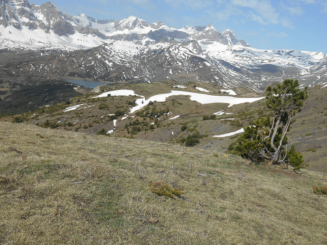 Photo de Christian Ferrère