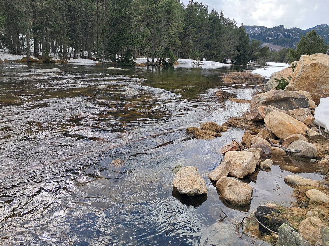Photo de Christian Ferrère