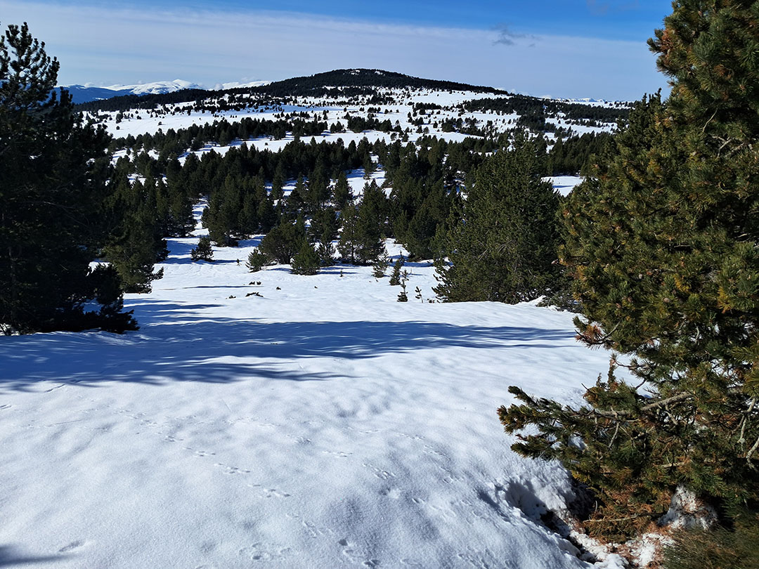 Photo de Christian Ferrère