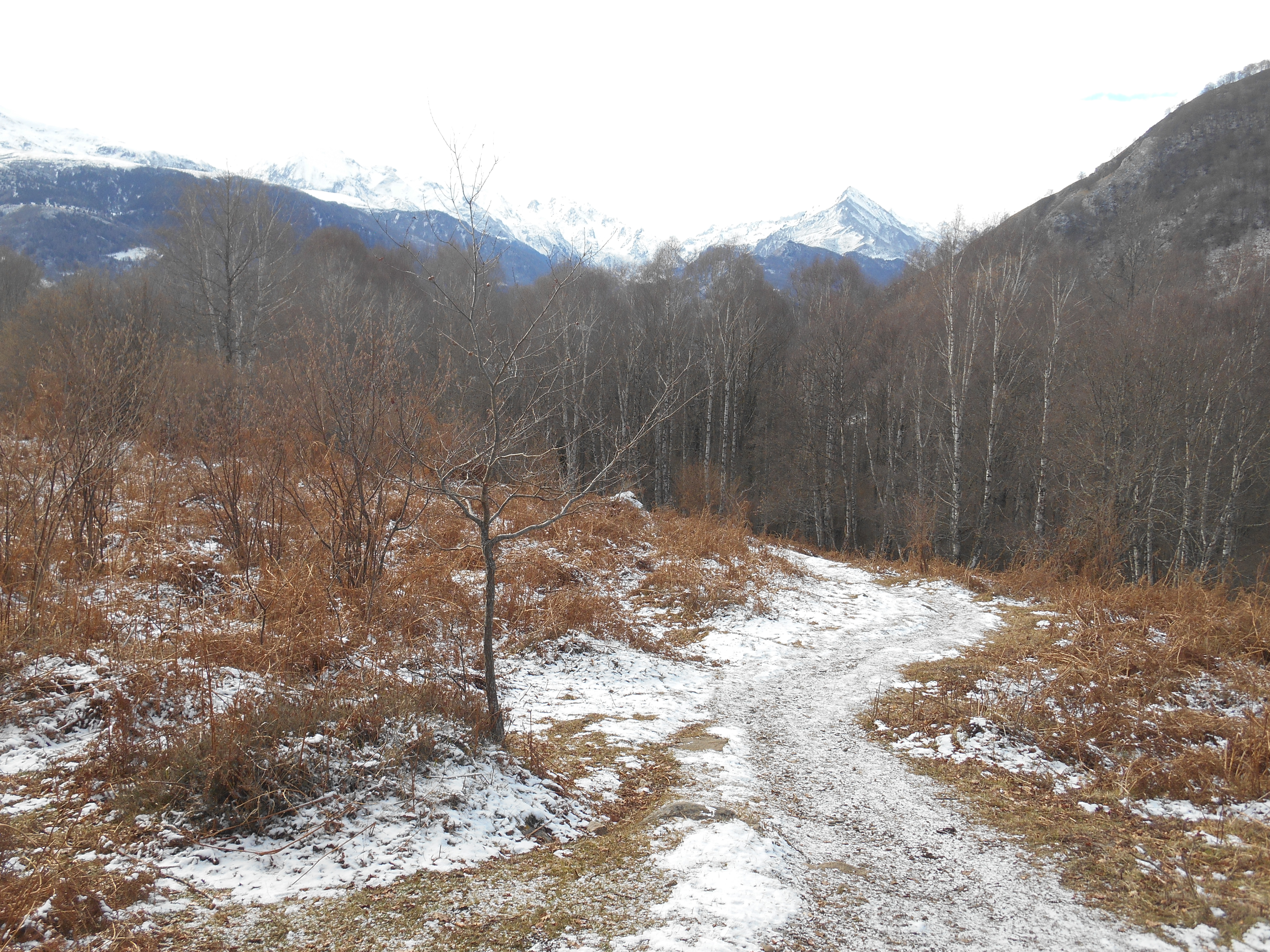 Photo de Christian Ferrère