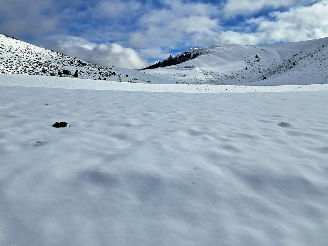 Photo de Christian Ferrère