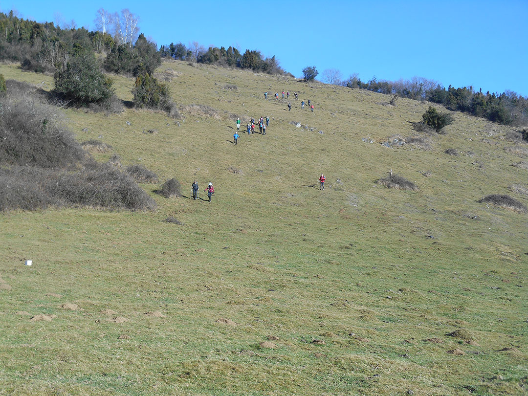 Photo de Christian Ferrère