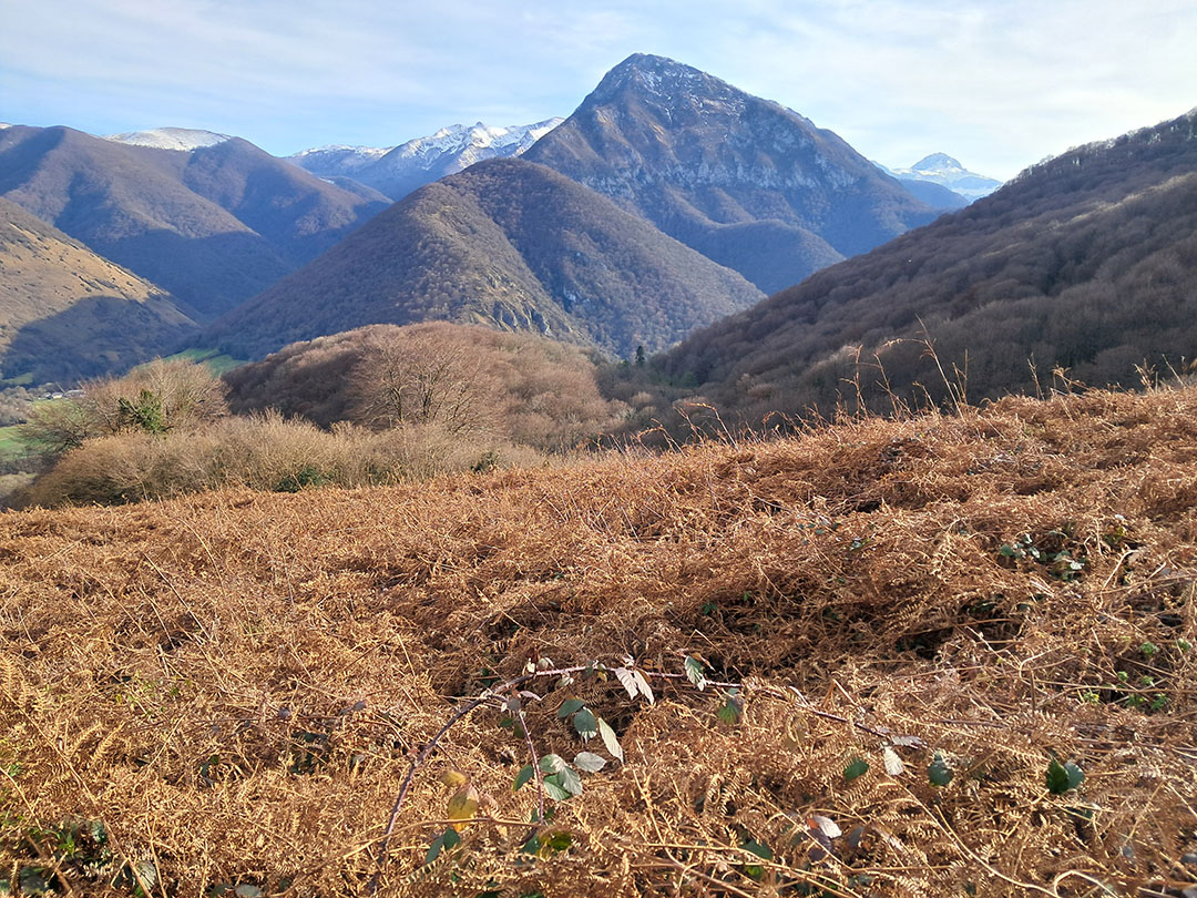 Photo de Christian Ferrère