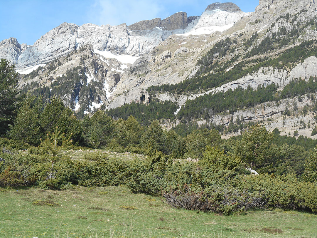 Photo de Christian Ferrère