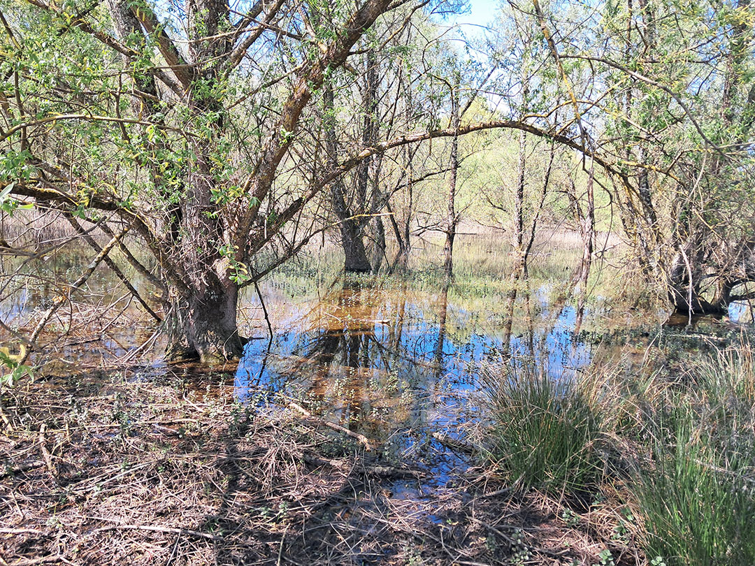 Photo de Christian Ferrère Photo de Christian Ferrère