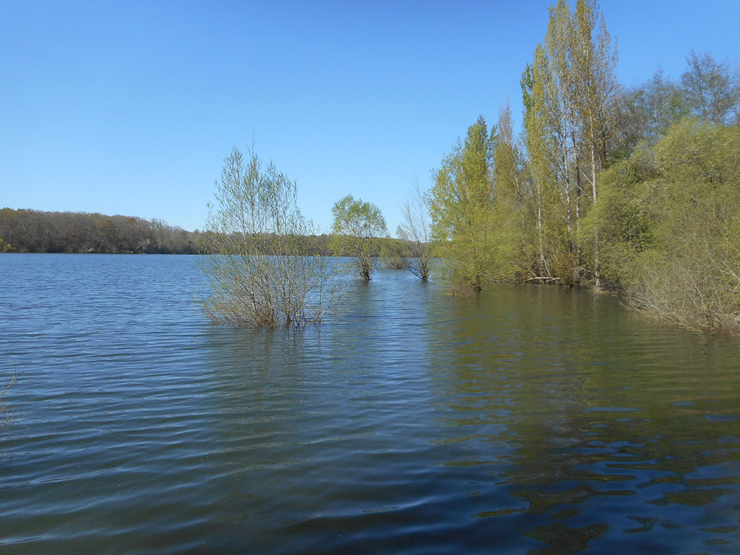 Photo de Christian Ferrère Photo de Christian Ferrère