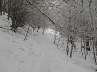 Randonn�es et ski de randonn�es en montagne dans les Pyr�n�es