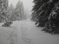 Randonnes et ski de randonnes en montagne dans les Pyrnes