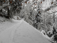 Randonnes et ski de randonnes en montagne dans les Pyrnes