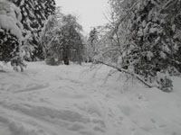 Randonnes et ski de randonnes en montagne dans les Pyrnes
