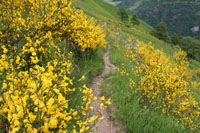 Randonn�es et ski de randonn�es en montagne dans les Pyr�n�es