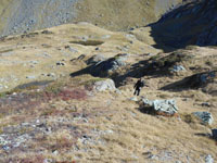 Randonnes et ski de randonnes en montagne dans les Pyrnes
