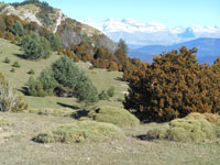 Randonnes et ski de randonnes en montagne dans les Pyrnes
