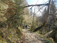 Randonn�es et ski de randonn�es en montagne dans les Pyr�n�es