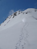 Randonnes et ski de randonnes en montagne dans les Pyrnes