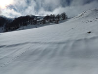 Randonn�es et ski de randonn�es en montagne dans les Pyr�n�es