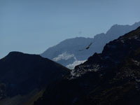 Randonnes et ski de randonnes en montagne dans les Pyrnes
